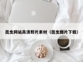 河池昆虫网站高清照片素材（昆虫图片下载）